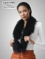 Preview: Tibetlamm Boa