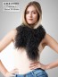 Preview: Tibetlamm Boa